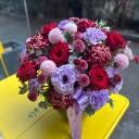 Kırmızı Lila Zerafeti