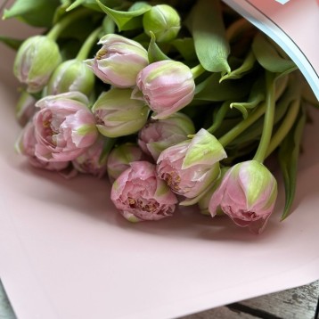 Pembe Lale Buketi