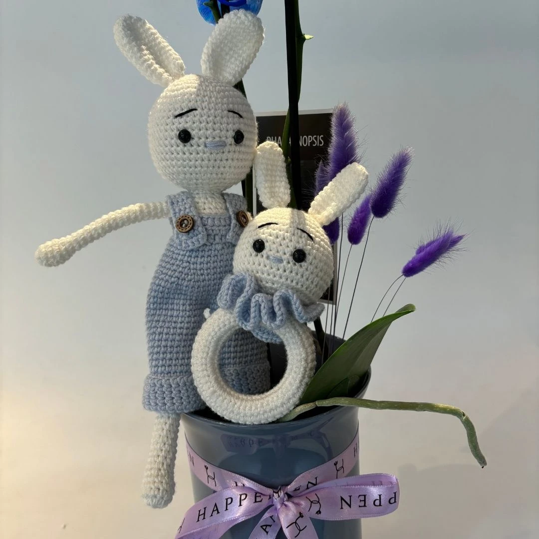 Erkek Bebek Tebrik Çiçeği