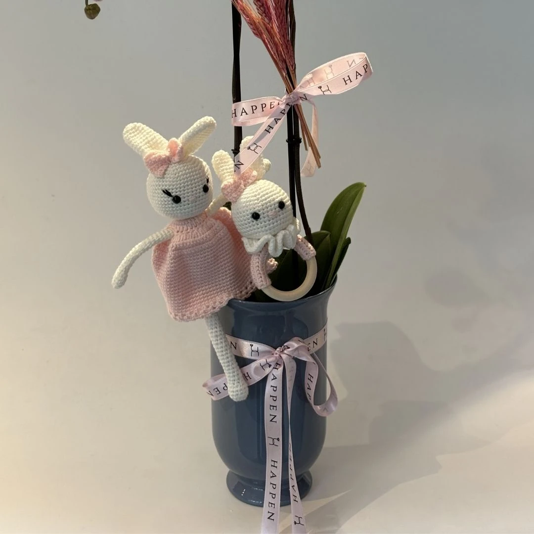 Kız Bebek Tebrik Çiçeği