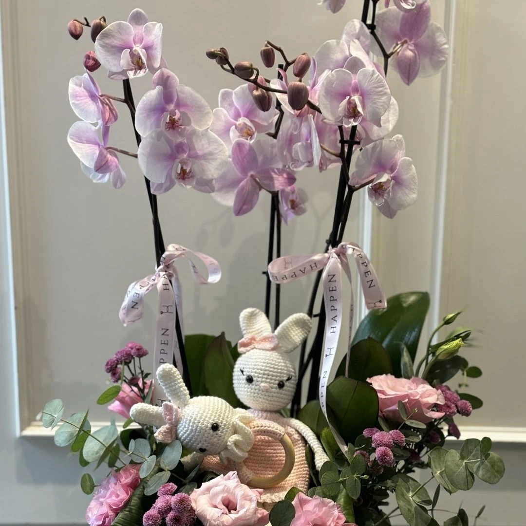 Yeni Bebek Tebrik Çiçeği