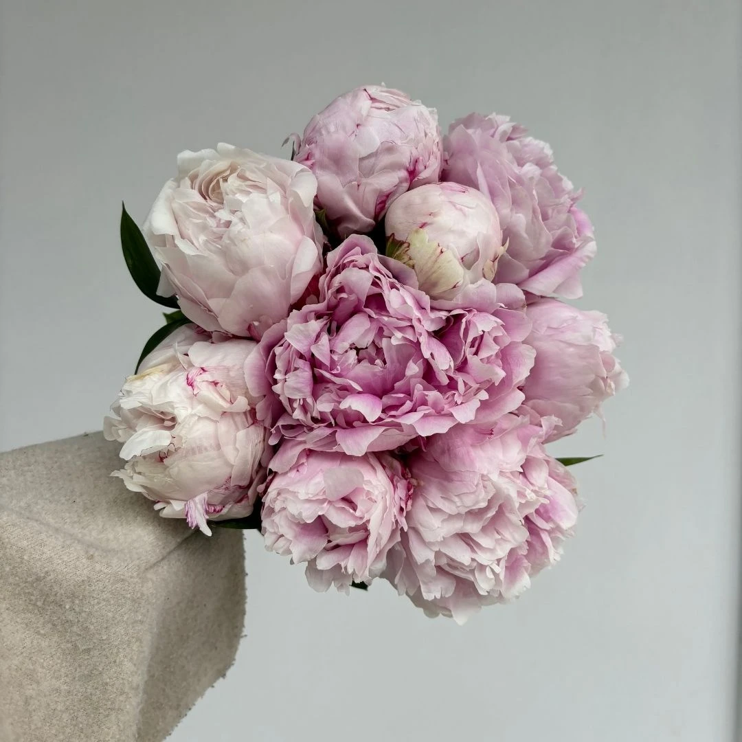 Şakayık Gelin Buketi